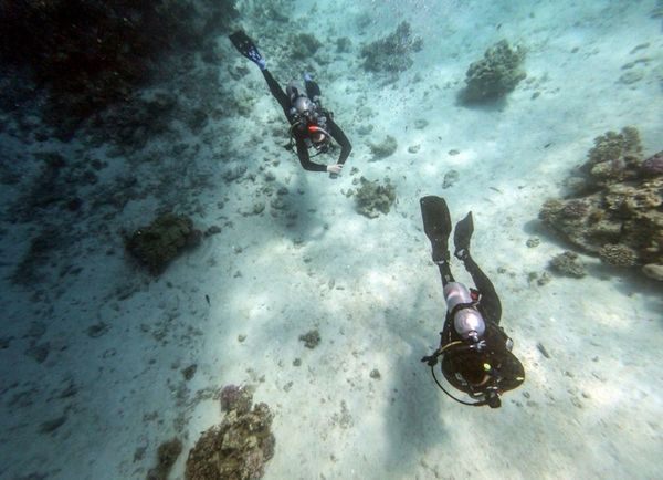 El turismo amenaza corales de aguas turquesas del Rojo