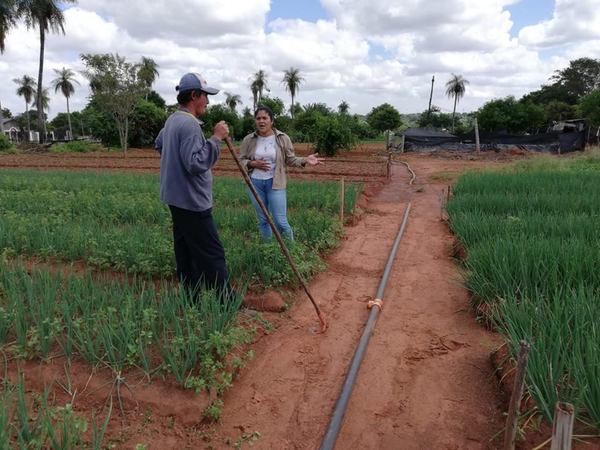 Modernización de agricultura familiar genera ingresos de US$ 5,3 millones a beneficiarios - ADN Paraguayo