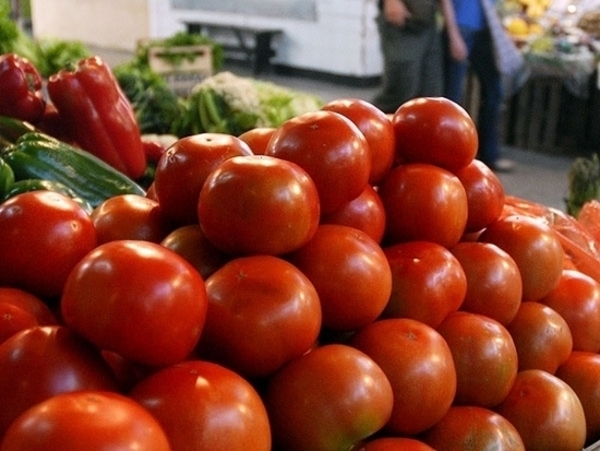 Precios altos del tomate se deben al no aprovechamiento de nuevas tecnologías » Ñanduti