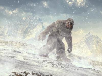 Ejército indio afirma existencia del “yeti” - ADN Paraguayo