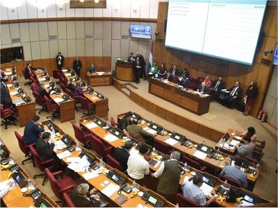 La oposición tendría votos para   que jure Ayala en vez de Payo