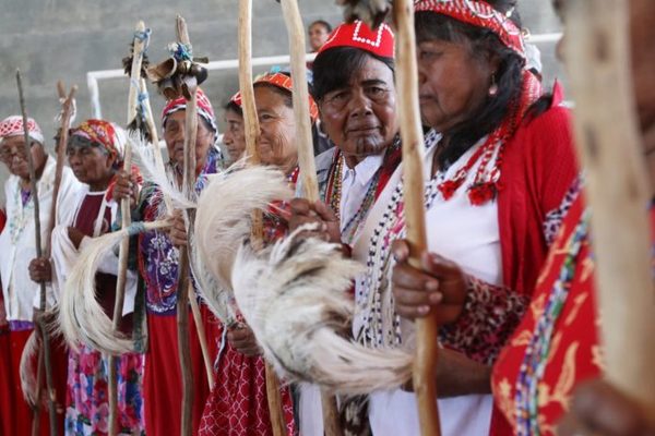 Presentarán avances sobre protocolo para proceso de consulta con indígenas » Ñanduti