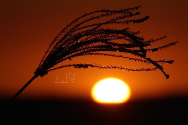 Jueves cálido y sin lluvias  | Paraguay en Noticias 