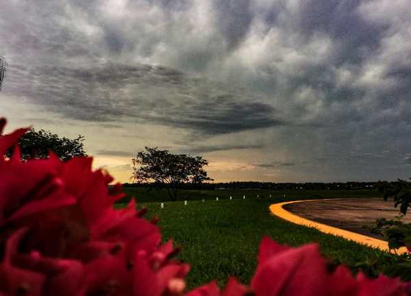 HOY BUEN TIEMPO CON TEMPERATURA EN ASCENSO, MAÑANA LLUVIAS.