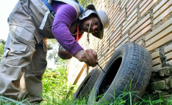 Campaña contra el dengue ya rastrilló más de 8.000 predios