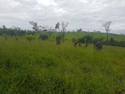 Herido en tiroteo en condición estable - Radio 1000 AM
