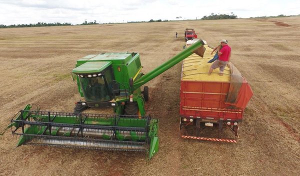 Bajos precios y rindes para la soja zafriña golpean al agricultor