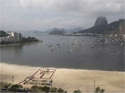 Contaminación del mar amenaza a los mejillones de Río de Janeiro