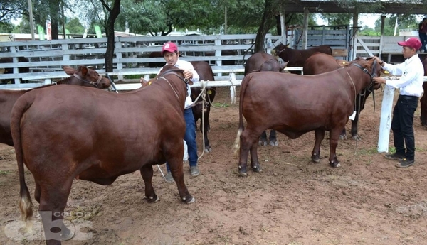 Expo Neuland se mueve, pese a caminos cortados | Paraguay en Noticias