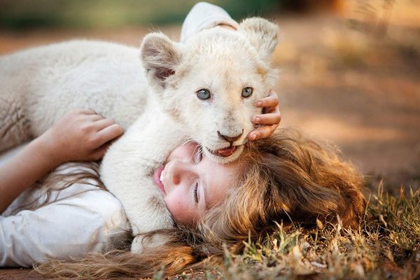 Mi mascota es un león (2D) - Espectaculos - ABC Color