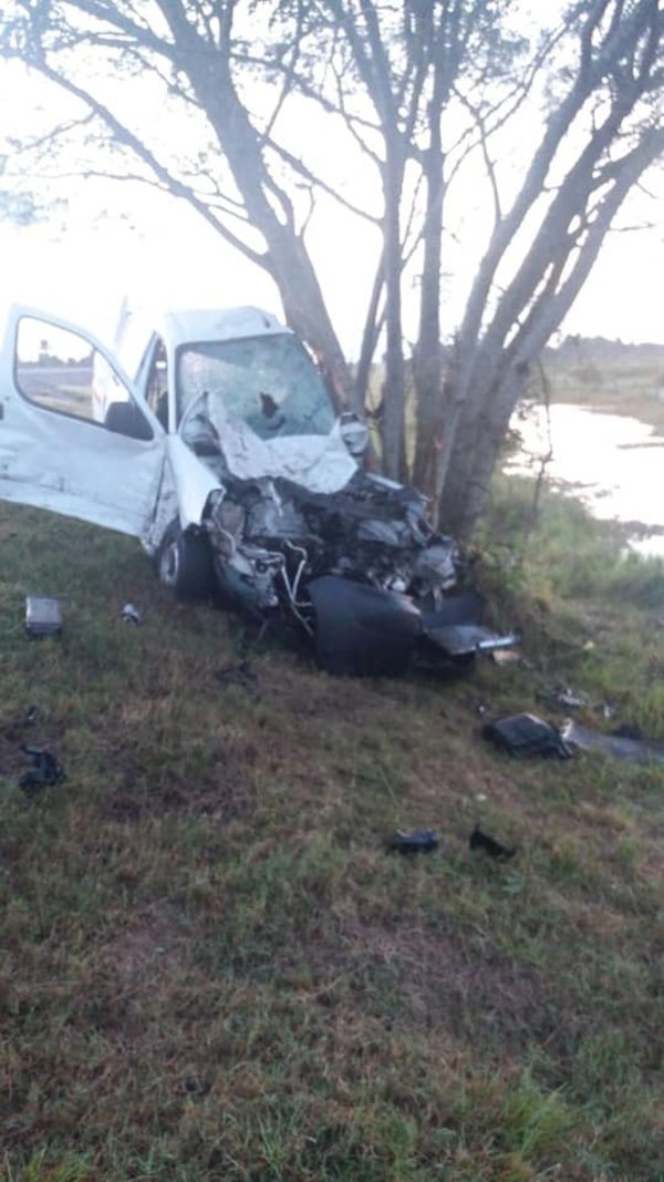 Vaca “desatenta” reventó voi una camio en ruta