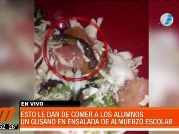 Niño encontró gusano en ensalada del almuerzo escolar