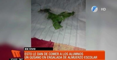 Denuncian presencia de gusanos en almuerzo escolar