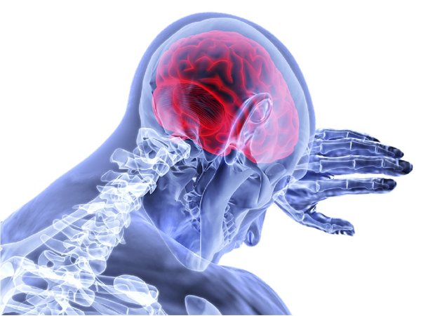 El sentido del tacto aparece en el cerebro antes del nacimiento