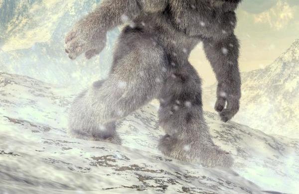 Revelan a quién podrían pertenecer las 'huellas del yeti' encontradas en el Himalaya - C9N