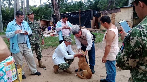 Mascotas damnificadas reciben asistencia veterinaria