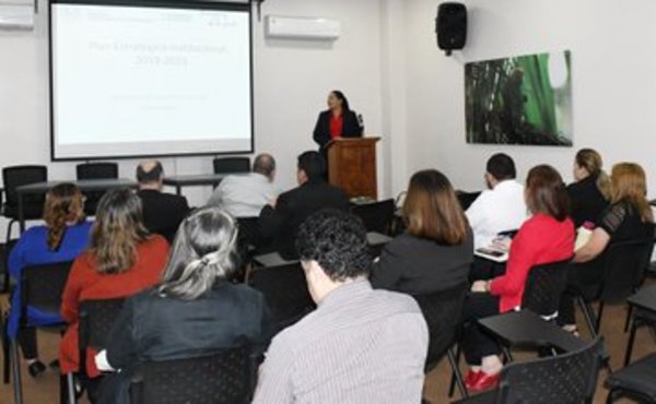 MADES continúa con diseño del Plan Estratégico Institucional 2019-2023 - ADN Paraguayo