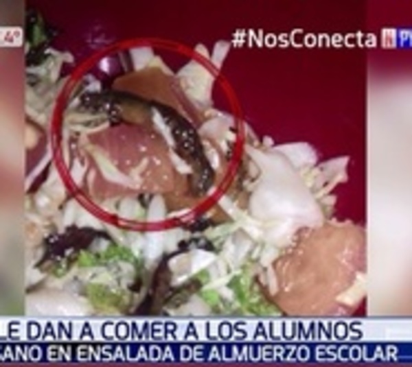 Verifique la comida de sus hijos: Hallan gusanos en almuerzo escolar  - Paraguay.com