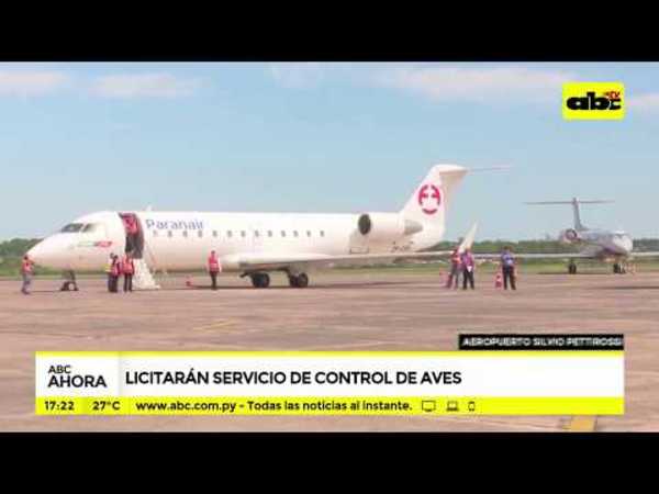 Licitarán servicio de control de aves en aeropuerto - Tv - ABC Color