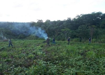 Investigan la extraña desaparición de un colono alemán en Caaguazú - Edicion Impresa - ABC Color