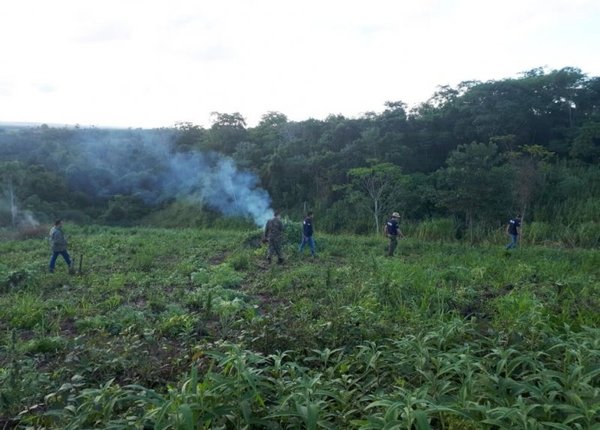 Investigan la extraña desaparición de un colono alemán en Caaguazú - Edicion Impresa - ABC Color