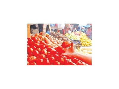 Precios del tomate en alza por escasez de producción