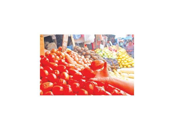 Precios del tomate en alza por escasez de producción