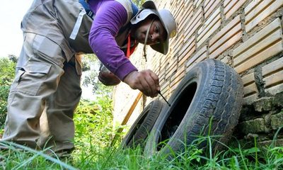 “Pará-na los criaderos”: trabajos de rastrillaje y fumigación previstos para hoy viernes