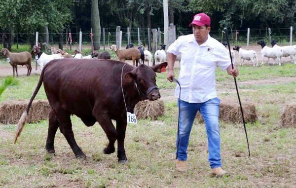 La Expo Neuland moviliza a los productores pese a clima lluvioso