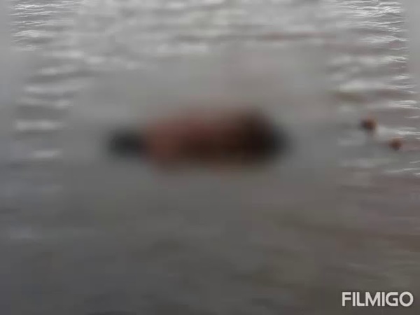 URGENTE: HALLAN CADÁVER EN ARROYO, A METROS DEL PUENTE QUITERIA