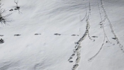 Ejército de Nepal niega que huellas pertenezcan al yeti - ADN Paraguayo