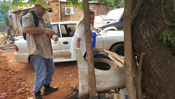 “Pará-na los criaderos”: continúan los trabajos de rastrillaje y fumigación - ADN Paraguayo