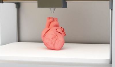 La bioimpresión de órganos en 3D consigue transmitir flujos corporales - Ciencia - ABC Color