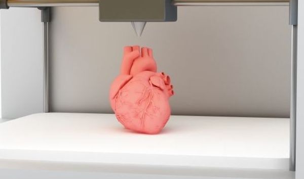 La bioimpresión de órganos en 3D consigue transmitir flujos corporales - Ciencia - ABC Color