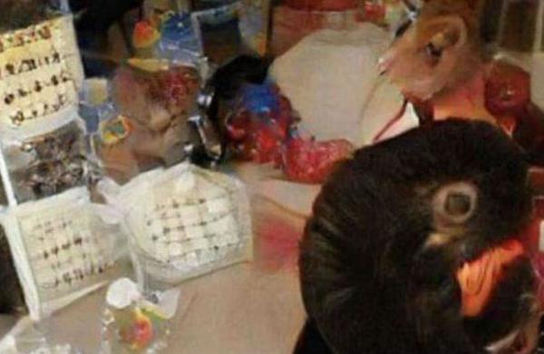 ¿Eres capaz de nombrar algún objeto?: La imagen en la que no puedes distinguir nada de lo que hay en ella - C9N