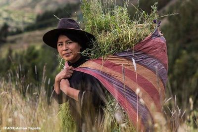 Las tierras de los parias