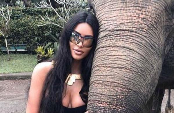 Kim Kardashian ahora es atacada por los animalistas tras publicar fotos con un elefante - C9N