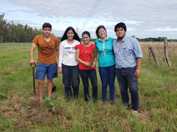 Misiones: Más arbolitos, más vida gracias a "San Juan Prende" - Digital Misiones
