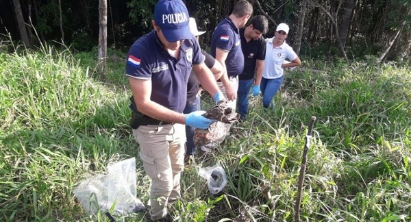 Restos de alemán son hallados totalmente calcinados