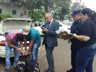 Taxista e hijo detenidos con presunta marihuana en Salto del Guairá