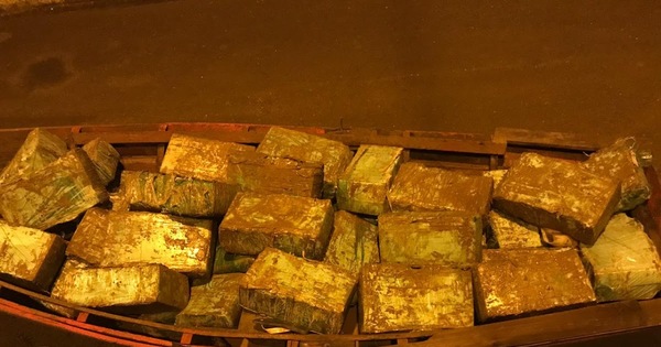 Federales requisaron 800 kilos de marihuana