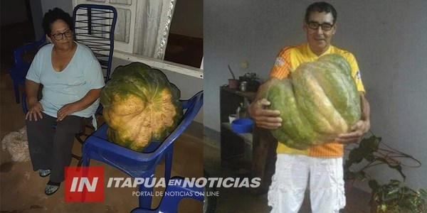 GRAL. ARTIGAS: COSECHÓ ANDAI DE 30 KG DE SU HUERTA FAMILIAR.