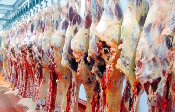 ARP aboga por la pronta apertura del mercado turco para la carne paraguaya » Ñanduti
