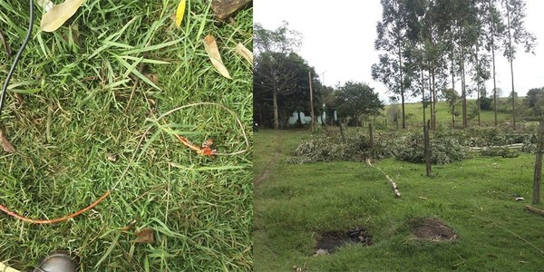 MENOR DE 8 AÑOS FALLECIÓ ELECTROCUTADO EN SANTA RITA