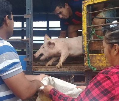 El MAG apunta a proyectos productivos para mitigar pobreza rural