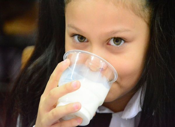 Incentivan el consumo de agua y lácteos en escuelas