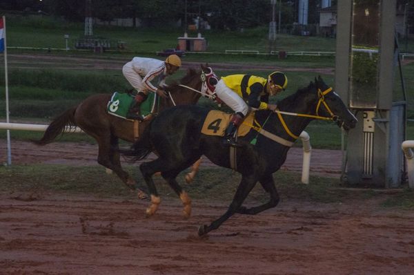 El turf nacional se llamó a silencio