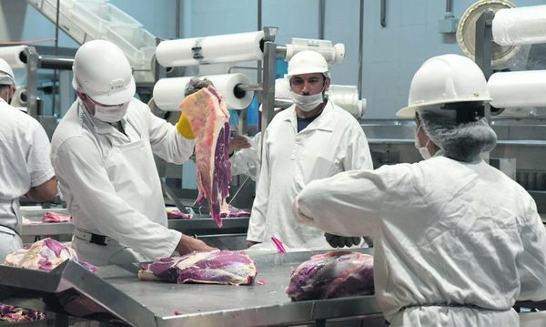 Mercosur aumenta las exportaciones de carne vacuna