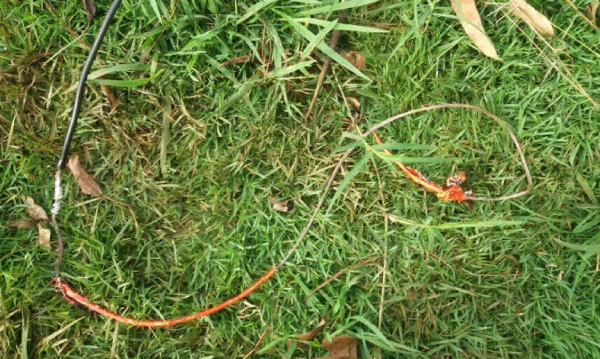 Niño de 8 años muere tras recibir descarga eléctrica | Diario Vanguardia 07