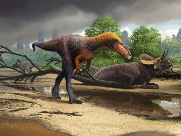 Descubren un pariente de baja estatura del Tyrannosaurus rex
